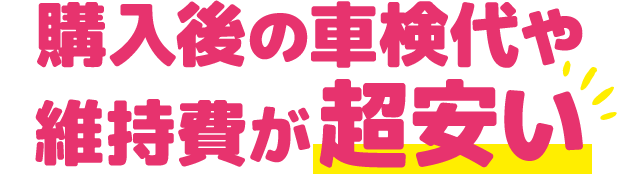 購入後の車検代や維持費が超安い